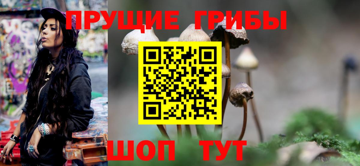 Псилоцибиновые грибы прущие грибы  Вход с VPN  Шадринск 